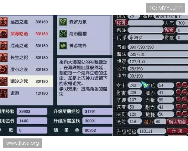 百家乐最多几号牌的玩法介绍，适合新手和老玩家的全面指南与实用技巧