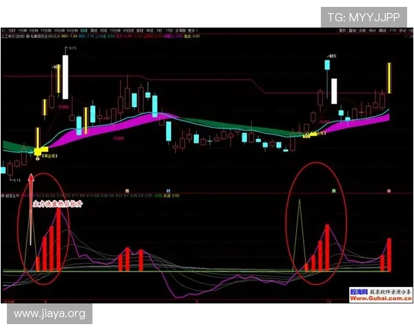 三公游戏规则全面解析，提升游戏胜率的实用技巧与策略建议
