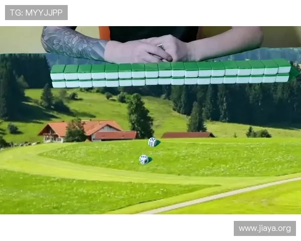 全面解析推饼子玩法的规则与策略，助你轻松赢得游戏胜利