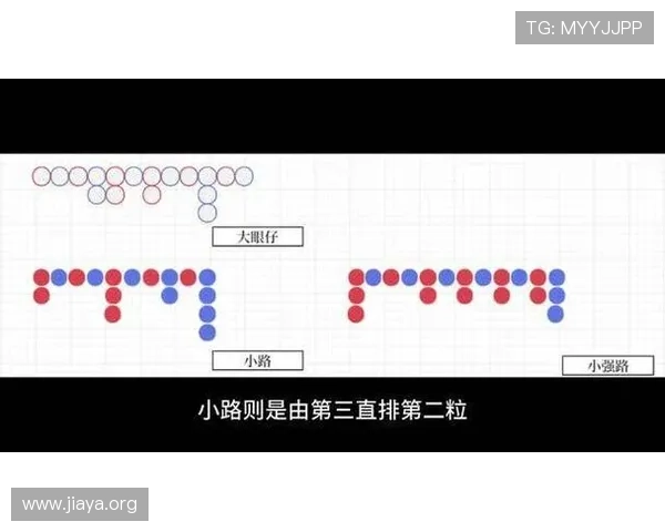 百家乐大眼仔怎么看学习大眼仔的观察技巧，轻松破解百家乐走势的实用技巧
