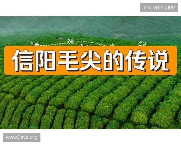 探索多宝真人的出生地,了解其在不同地区的文化影响和传说故事 探索多宝真人的出生地,了解其在不同地区的文化影响和传说故事